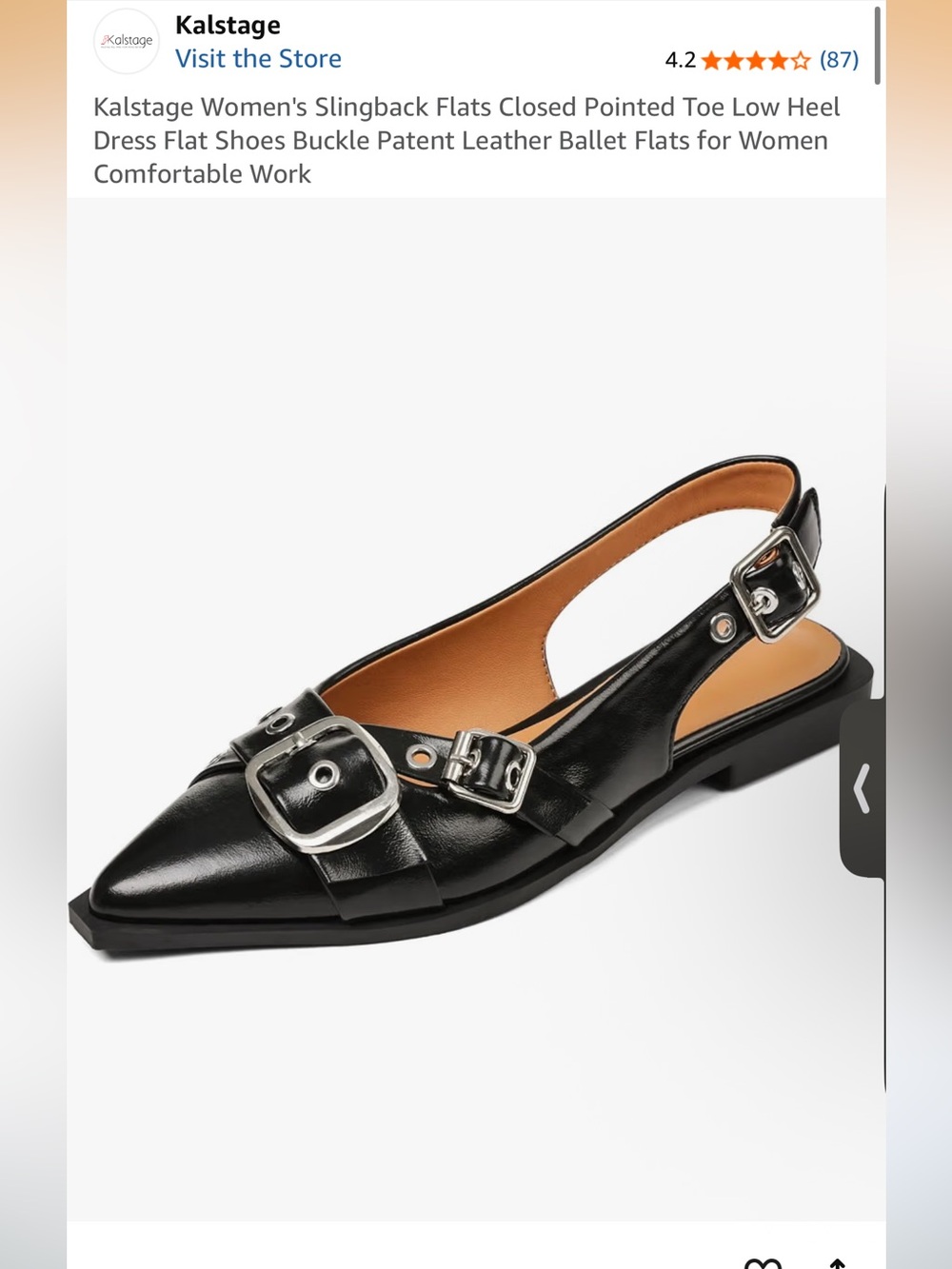 Women's Pointed Slingback Flats with Buckle Detail - Black